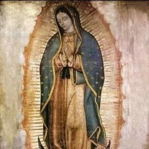 Meet your Posher, Eva